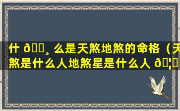 什 🌸 么是天煞地煞的命格（天煞是什么人地煞星是什么人 🦆 ）